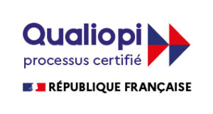 Bilan de compétences Qualiopi 1001 métiers (1)